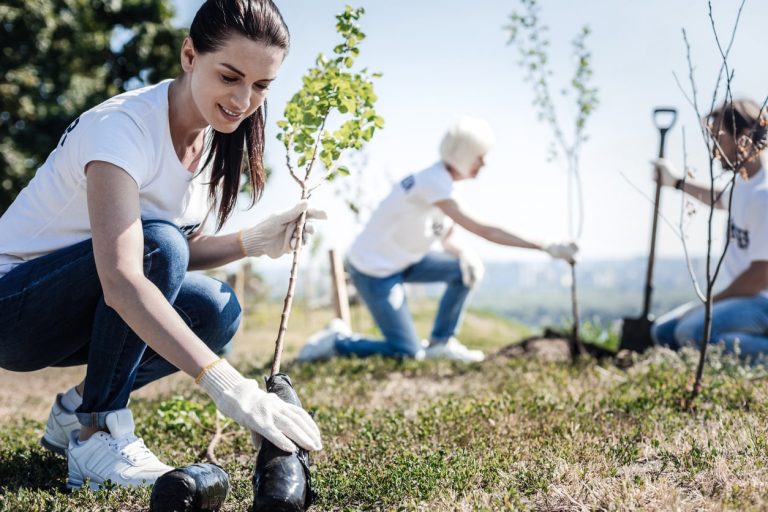 Junge Frau bei einer Baumpflanzung mit jungem Baum in der Hand
