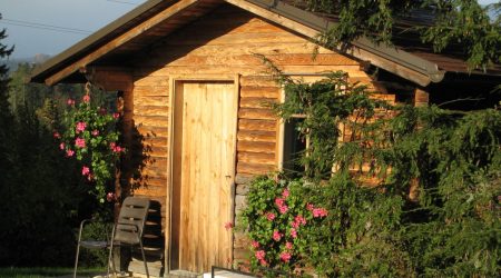 Blockhaus aus Holz in einem Garten
