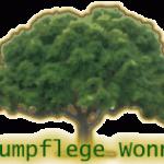 Baumpflege Volker Wonner