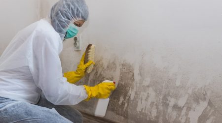 Frau mit Schutzanzug und Schutzmaske, mit einer Bürste und einer Sprühflasche bei einer Schimmelsanierung