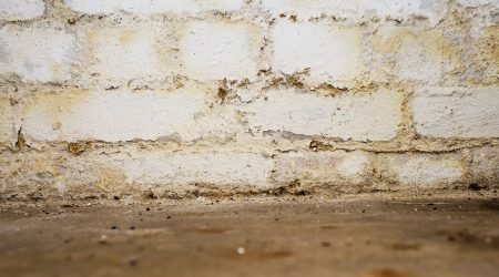 Feuchte, gelbe, schimmlige Wand in einem Keller