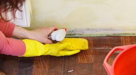 Frau mit Schutzanzug und Schutzmaske entfernt Schimmel von einer Wand mit einer Bürste und einer Sprühflasche