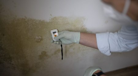 Schimmelgutachter mit Nasenmundschutz misst den Feuchtigkeitsgehalt an einer Wand mit Schimmel in einer Wohnung