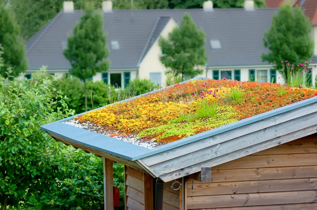Dachbegrünung als Dacheindeckung von einem Gartenhaus in einem Garten
