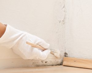 Eine Hand mit einem weißen Stoffhandschuh und Pinsel überstreicht in der Ecke eines Zimmers Schimmel an den Leisten