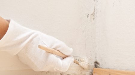 Eine Hand mit einem weißen Stoffhandschuh und Pinsel überstreicht in der Ecke eines Zimmers Schimmel an den Leisten