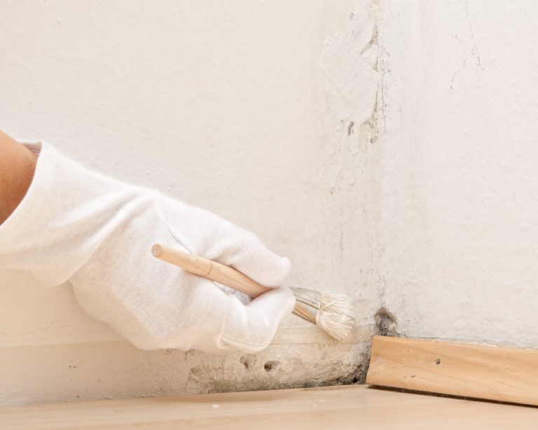 Eine Hand mit einem weißen Stoffhandschuh und Pinsel überstreicht in der Ecke eines Zimmers Schimmel an den Leisten