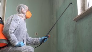 Schimmelsanierung durch Expertemit Schutzanzug, Atemschutzmaske und Sprühgerät beim Entfernen von Schimmel an einer Innenwand.