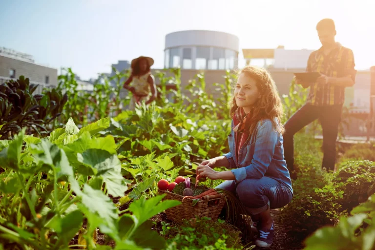 Junge Menschen ernten frisches Gemüse aus dem Gewächshaus Garten auf dem begrünten Dach