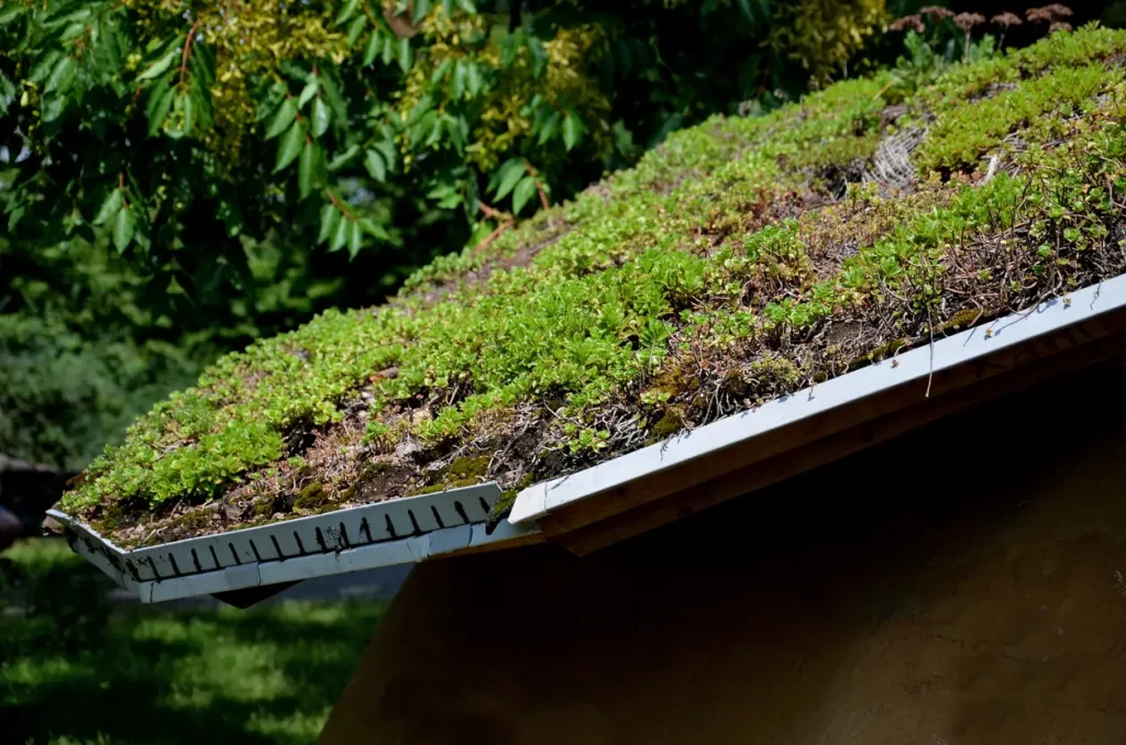 Carport mit Sedum für ein Gründach bepflanzt