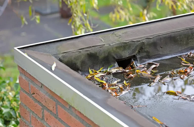 Ein Wasserabfluss auf einem Flachdach mit Laub