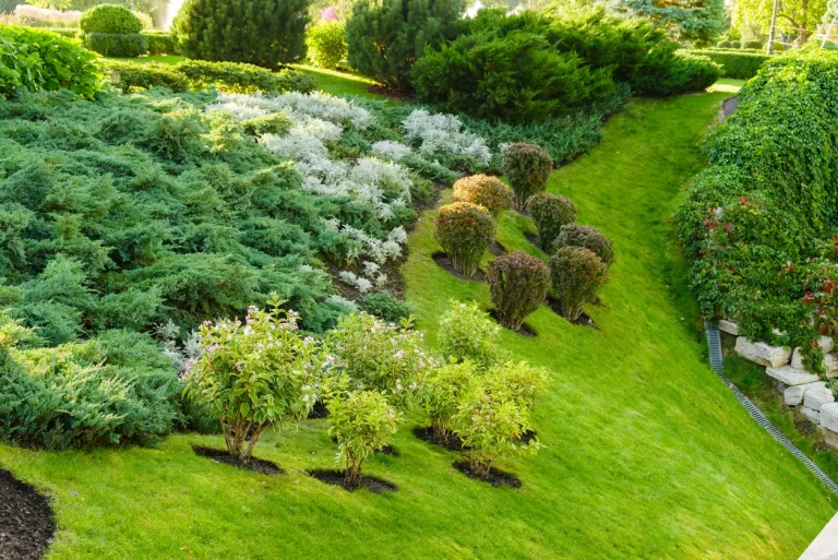 Gartengestaltung mit grüner Bepflanzung am Hang