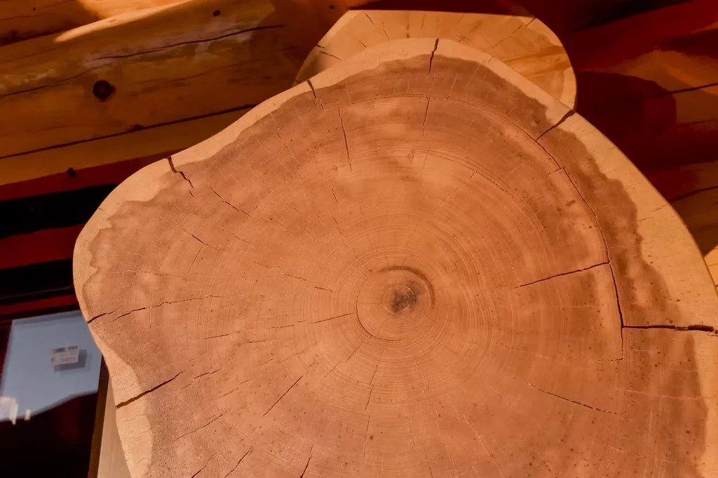 Holz mit Baumkante für das Anfertigen eines individuellen Bettes