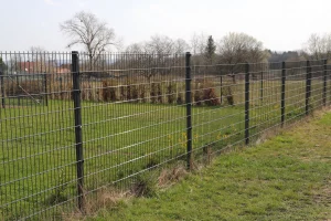 Metallzaun auf einer Wiese