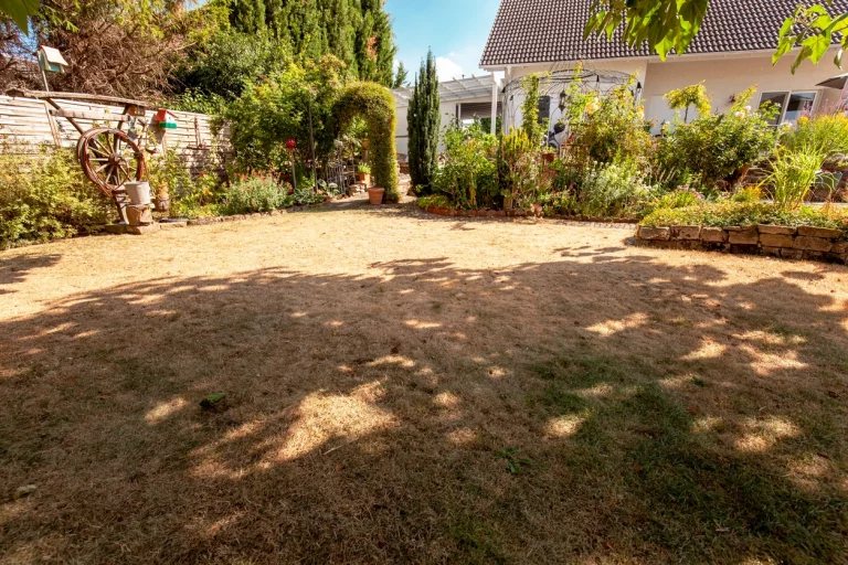 Ausgetrockneter Rasen in einem Garten