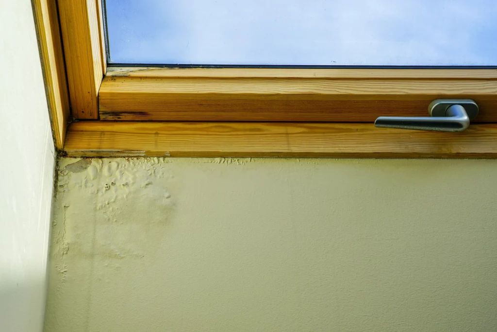 Feuchte Stellen unter einem Fenster