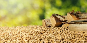 Pellets und Holzscheite als Brennstoff für Holzheizungen auf grünem Hintergrund