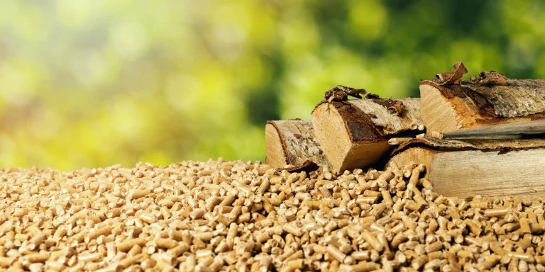 Pellets und Holzscheite als Brennstoff für Holzheizungen auf grünem Hintergrund