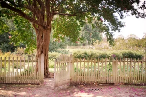 Szene in einem Garten mit einem hellen Holzzaun und Zauntor mit einem großen Baum und einer Wiese im Hintergrund