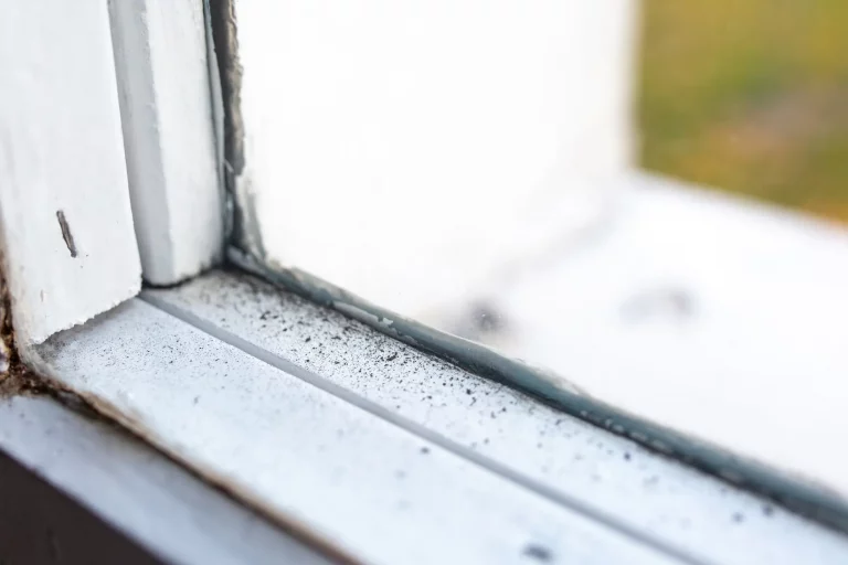 Nahaufnahme eines Holzfensterrahmens mit Schimmel an der Innenseite am Holzfenster