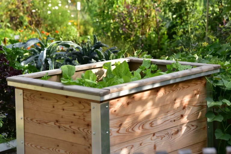 Ein bepflanztes Hochbeet aus hellem Holz in einem Garten