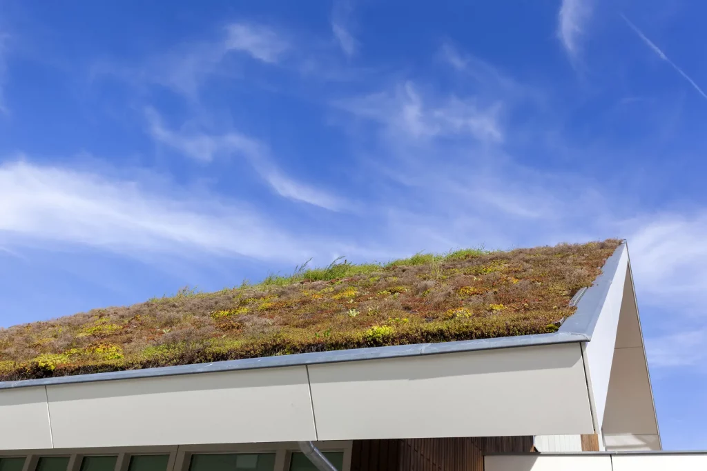 Bepflanztes und begrüntes Schrägdach eines Carports mit blauem Himmel im Hintergrund