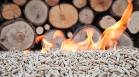Brennende Holzpellets mit sichtbaren Flammen vor gestapelten Holzscheiten als Symbol für nachhaltige Heizenergie.