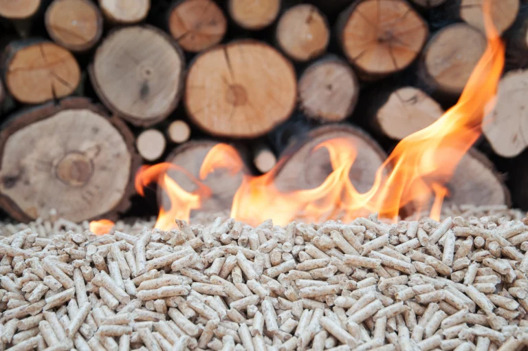 Brennende Holzpellets mit sichtbaren Flammen vor gestapelten Holzscheiten als Symbol für nachhaltige Heizenergie.