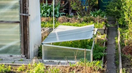 Frühbeet in einem Garten mit aufklappbarer Abdeckung zur Anzucht von Pflanzen. Das Beet ist inmitten eines grünen Gartens platziert und bietet jungen Pflanzen Schutz und Wärme, um das Wachstum in der frühen Saison zu fördern.