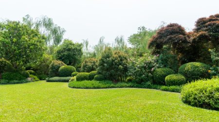 Gepflegte Rasenfläche in einem üppigen Garten mit kunstvoll geschnittenen Sträuchern und verschiedenen Bäumen im Hintergrund. Die grüne Wiese ist frisch gemäht und von geschwungenen Beeten mit dichter Bepflanzung umrahmt.