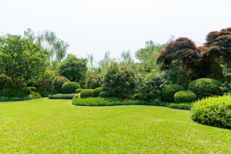 Gepflegte Rasenfläche in einem üppigen Garten mit kunstvoll geschnittenen Sträuchern und verschiedenen Bäumen im Hintergrund. Die grüne Wiese ist frisch gemäht und von geschwungenen Beeten mit dichter Bepflanzung umrahmt.