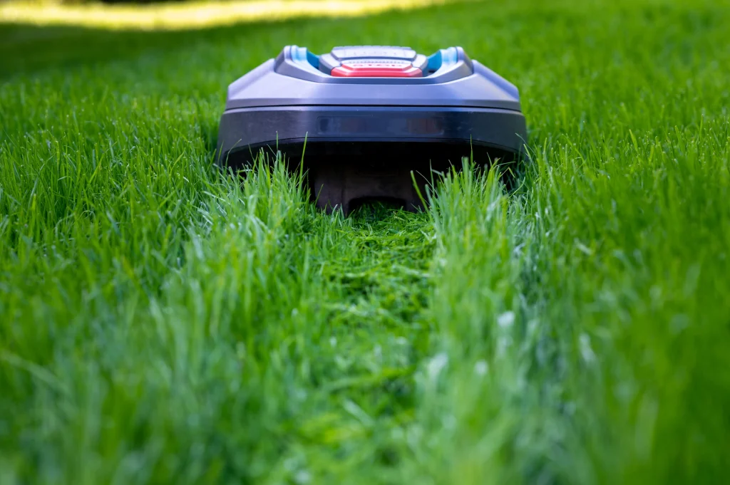Ein Mähroboter fährt über eine grüne Rasenfläche und hinterlässt eine frisch gemähte Spur im Gras. Die Nahaufnahme zeigt das Gerät aus einer niedrigen Perspektive mit Fokus auf das geschnittene Gras.