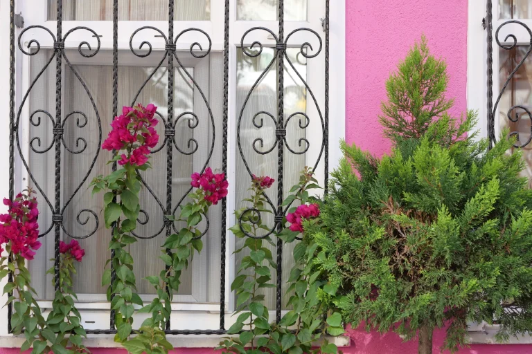 Ein verziertes schwarzes Fenstergitter mit geschwungenen Ornamenten schützt ein weiß gerahmtes Fenster. Vor dem Fenster ranken sich pink blühende Bougainvillea-Pflanzen empor. Die Fassade des Gebäudes ist in einem kräftigen Rosa gestrichen. Rechts im Vordergrund steht ein grüner, buschiger Strauch.