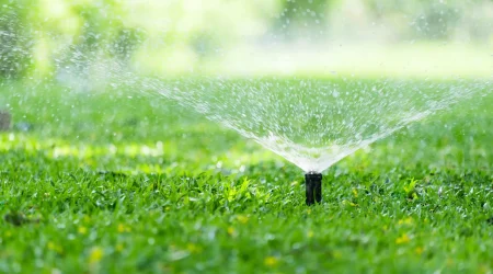 Ein Rasensprenger bewässert frisch verlegten Rollrasen mit feinem Wassernebel, ein essenzieller Pflegeschritt zur Anwuchsunterstützung und Erhaltung der Rasenqualität.