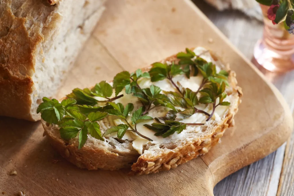 Scheibe Vollkornbrot mit Butter und frischen Gierschblättern, angerichtet auf einem Holzbrett – traditioneller Snack mit essbarem Wildkraut.