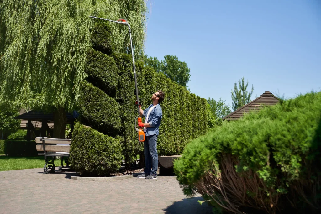 Mann bei der professionellen Grünanlagenpflege schneidet mit Hochentaster eine hohe Hecke in einem gepflegten Park.