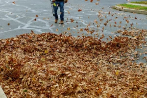 Hausmeister mit Laubbläser entfernt Herbstlaub von einem Innenhof. Man sieht fliegende Blätter in der Luft, Aufräumarbeiten in einer städtischen Umgebung.