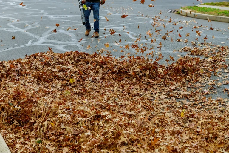 Hausmeister mit Laubbläser entfernt Herbstlaub von einem Innenhof. Man sieht fliegende Blätter in der Luft, Aufräumarbeiten in einer städtischen Umgebung.