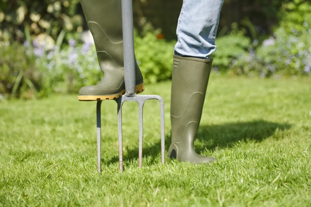 Person mit grünen Gummistiefeln belüftet den Rasen mithilfe einer Grabegabel, indem sie die Zinken in die Grasnarbe tritt – klassische Methode zur Bodenlockerung im Garten.