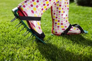 Person trägt bunte Gummistiefel mit befestigten Rasenlüfterschuhen, ausgestattet mit Metallspikes, beim Aerifizieren eines grünen Rasens im Garten.