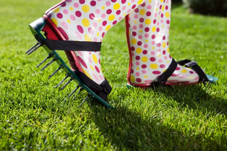 Person trägt bunte Gummistiefel mit befestigten Rasenlüfterschuhen, ausgestattet mit Metallspikes, beim Aerifizieren eines grünen Rasens im Garten.