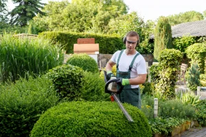 Gärtner pflegt mithilfe einer elektrischen Gartenschere eine den Busch einer Grünanlage.