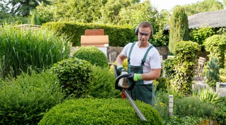 Gärtner pflegt mithilfe einer elektrischen Gartenschere eine den Busch einer Grünanlage.