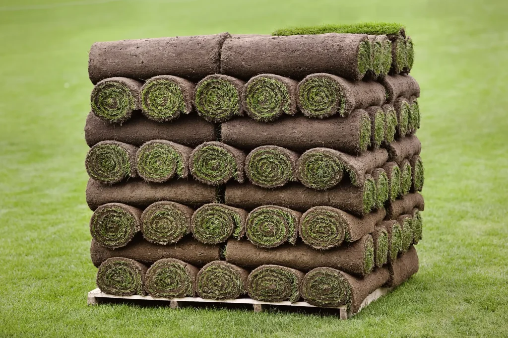 Mehrere aufgerollte Stücke Rollrasen sind auf einer Palette gestapelt. Die Rollen zeigen die grüne Grasfläche an den Seiten, während die dunkle Erdschicht außen sichtbar ist. Die Szene befindet sich auf einem gepflegten Rasenplatz.