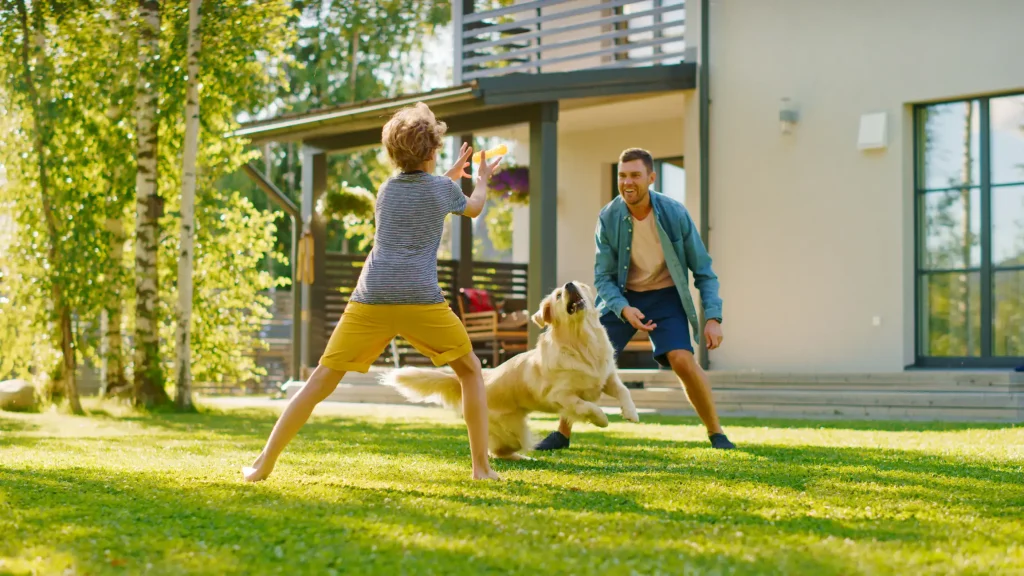 Ein Junge spielt mit seinem Vater und einem Hund auf dem Rasen im Garten eines modernen Hauses. Der Junge fängt ein Hundespielzeug, das der Vater geworfen hat, während der Hund aufmerksam zuschaut und zum Sprung ansetzt.