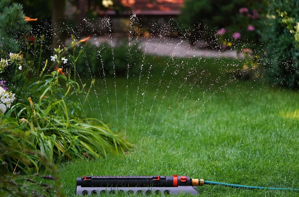 Ein Rasensprenger verteilt feine Wasserstrahlen auf einer grünen Rasenfläche im Garten. Links daneben wachsen blühende Pflanzen.