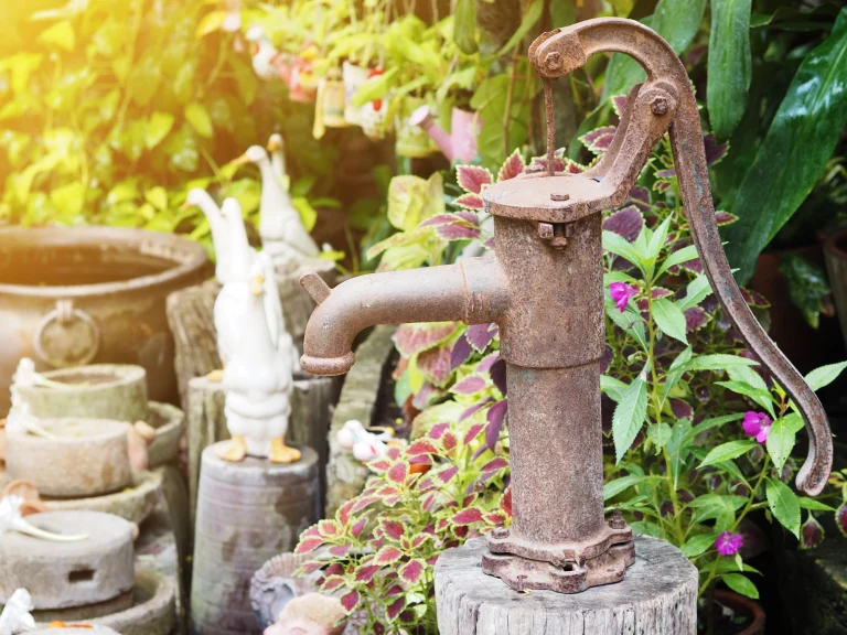 Eine Brunnenpumpe im Garten. Im Hintergrund sind Gartendeko und Blumen zu erkennen.