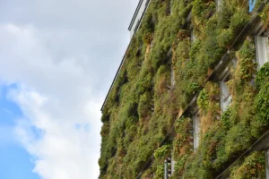 Begrünte Fassade mit vertikal angeordneten Pflanzmodulen an mehrstöckigem Gebäude vor bewölktem Himmel.