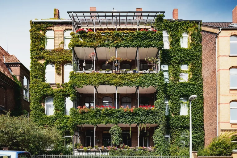Fassade eines Wohnhauses vollständig mit Efeu und anderen Kletterpflanzen bewachsen, Balkone mit Blumen geschmückt.