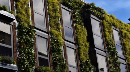 Fassade eines modernen Gebäudes mit großen Fenstern und vertikaler Begrünung aus unterschiedlichen Pflanzenarten.